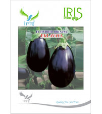 Brinjal Iris F1 Eklavaya 10 grams